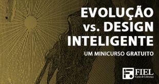 Minicurso Gratuito: Evolução vs. DI